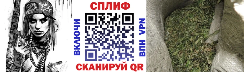Бошки марихуана семена  Купить  Краснослободск 